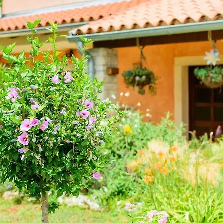 Villa Loreta By Istrialux Cabrunici